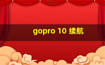 gopro 10 续航